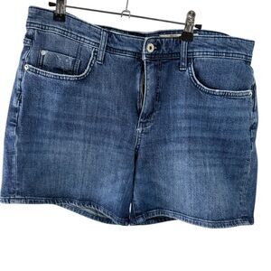 Pilcro and the Letterpress by Anthropologie denim Women's Shorts size 32